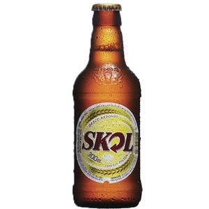 imagem do produto SKOL