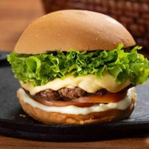 imagem do produto X-Salada