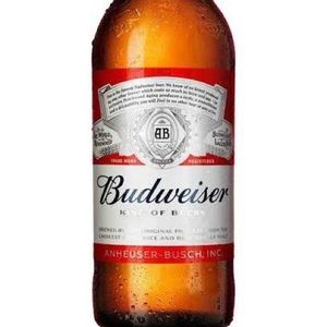 imagem do produto Budweiser 