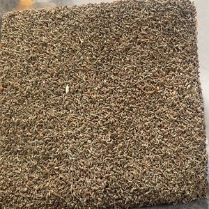 imagem do produto ERVA DOCE PREMIUM - 100G