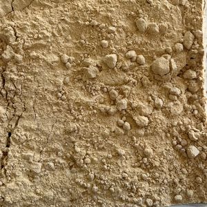 imagem do produto MACA PREUANA AMARELA - 100G