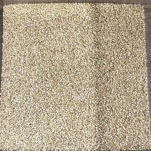 imagem do produto QUINOA EM GRÃO - 100G