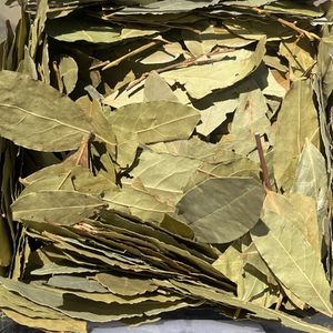 imagem do produto FOLHA DE LOURO IMPORT - 100G