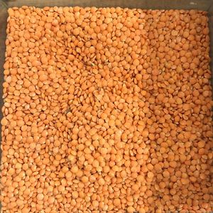 imagem do produto LENTILHA VERMELHA - 100G