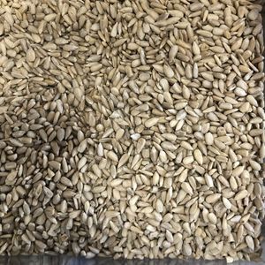 imagem do produto SEMENTE DE GIRASSOL - 100G