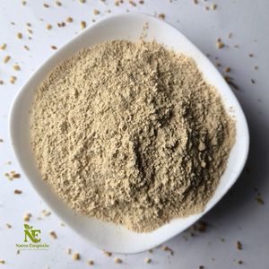 imagem do produto ALHO EM PÓ - 100G