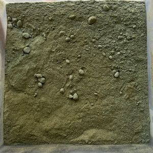 imagem do produto MORINGA EM PÓ - 100G