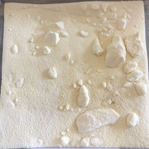 imagem do produto LEITE EM PÓ INTEGRAL - 100G