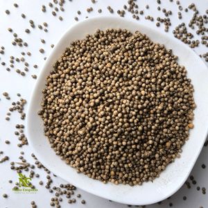 imagem do produto SEMENTE DE COENTRO - 100G