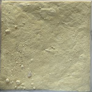 imagem do produto CREME DE CEBOLA - 100G