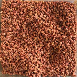 imagem do produto PROTEÍNA DE BACON - 100G