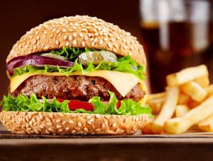 imagem do produto X-Tudo