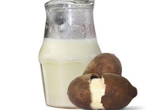 imagem do produto Cupuaçu Jarra 1 litro