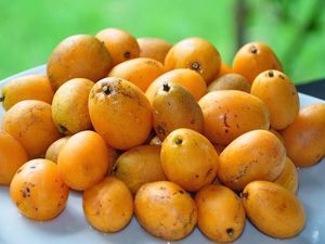 imagem do produto Taperebá Jarra 1 litro