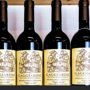 imagem do produto Gaggiarone kit