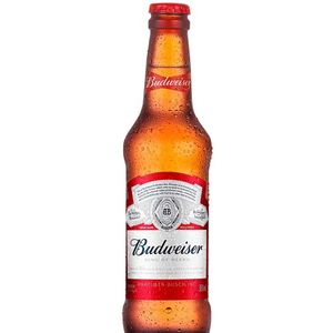 imagem do produto Budweiser Long neck 
