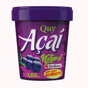 imagem do produto Pote Quy açaí 1,02kg com guaraná 