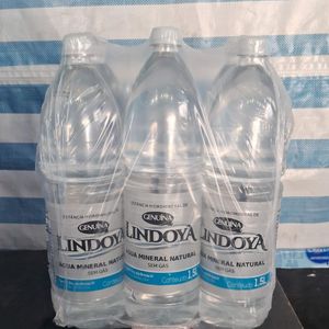imagem do produto Lindoya 1,5 com 6 Uni