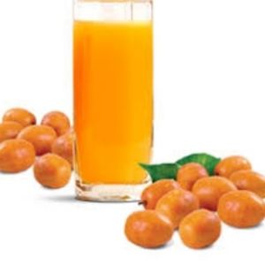 imagem do produto Suco de Cajá 300ml