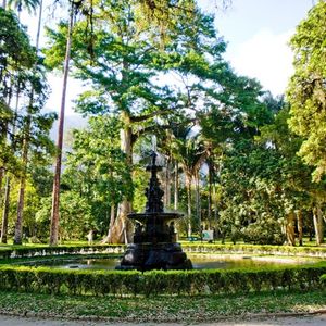 imagem do produto JARDIM BOTÂNICO - 27