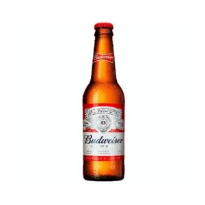 imagem do produto Budweiser 600
