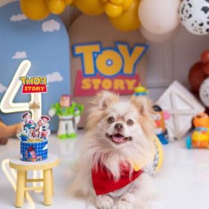 imagem do produto Kit festa Turma Toda