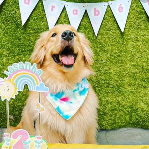 imagem do produto Bandeirinha 