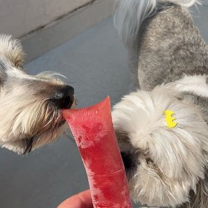 imagem do produto Geladinho Melancia com Hortelã 