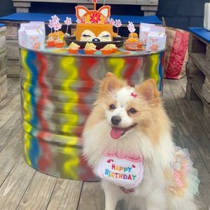 imagem do produto Kit festa Chama a Galera 