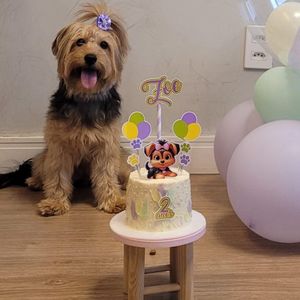 imagem do produto Kit festa individual 