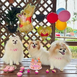 imagem do produto Kit festa Turminha