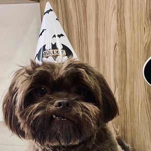 imagem do produto Chapéu personalizado 