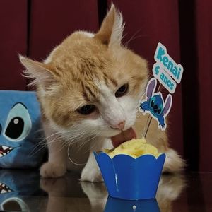 imagem do produto Topo para Cupcake 