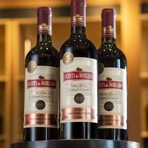 imagem do produto Vinho quinta do morgato litro
