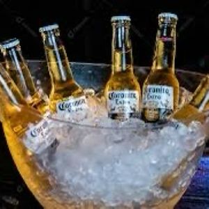imagem do produto Balde Coronita