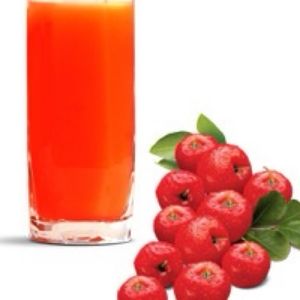 imagem do produto Suco de Acerola