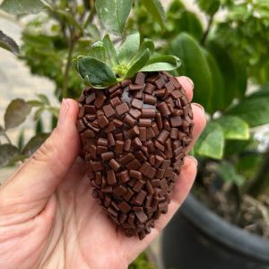 imagem do produto Coxinha de brigadeiro com morango