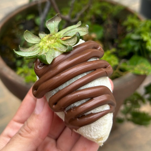 imagem do produto Coxinha de ninho com Nutella