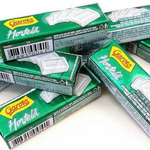 imagem do produto Garoto hortelã