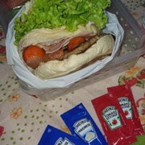 imagem do produto X-Tudo