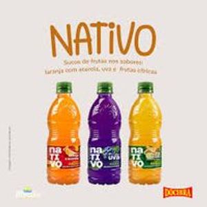imagem do produto suco nativo 450 ml 