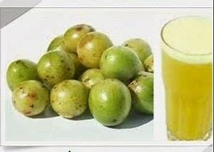 imagem do produto Suco de Umbu