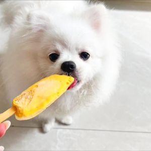 imagem do produto Picolé morango 