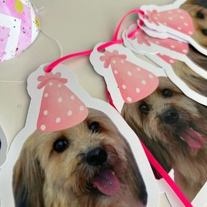 imagem do produto Bandeirola 