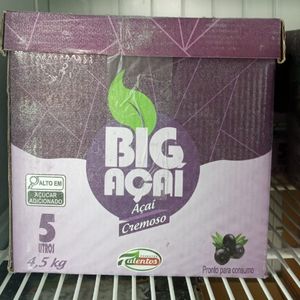 imagem do produto Big açaí 5 Litros 