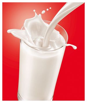 imagem do produto Adicional de leite 