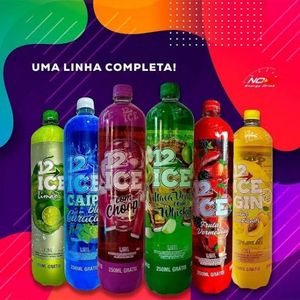 imagem do produto No 12 ice sabores 1L e ganhe 250ml grátis 