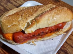 imagem do produto Dog especial