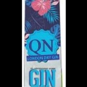 imagem do produto Gin Qn Dry - 900ml