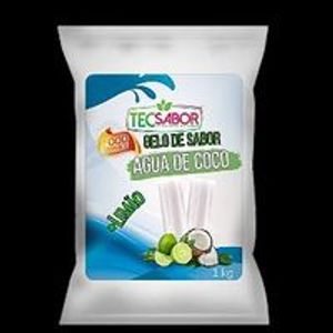 imagem do produto Saco Gelo De Coco - 1kg 